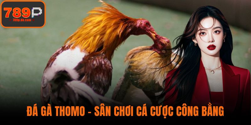 Đá Gà Thomo - Sân Chơi Cá Cược Công Bằng Và Minh Bạch