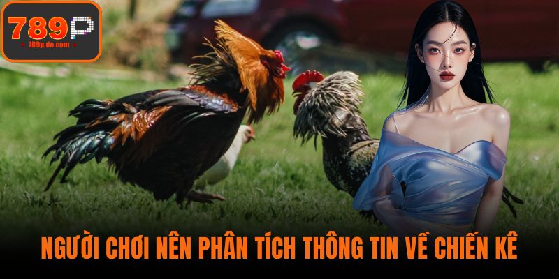 Người chơi nên phân tích thông tin về chiến kê